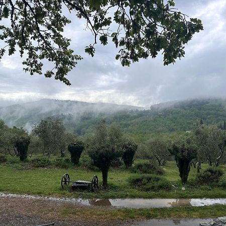 Podere Sagna Castellina in Chianti Ngoại thất bức ảnh