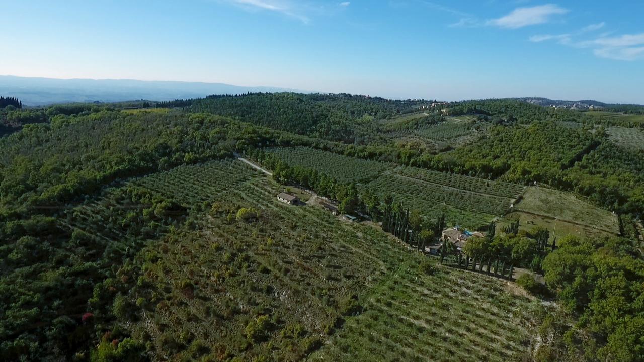 Podere Sagna Castellina in Chianti Ngoại thất bức ảnh