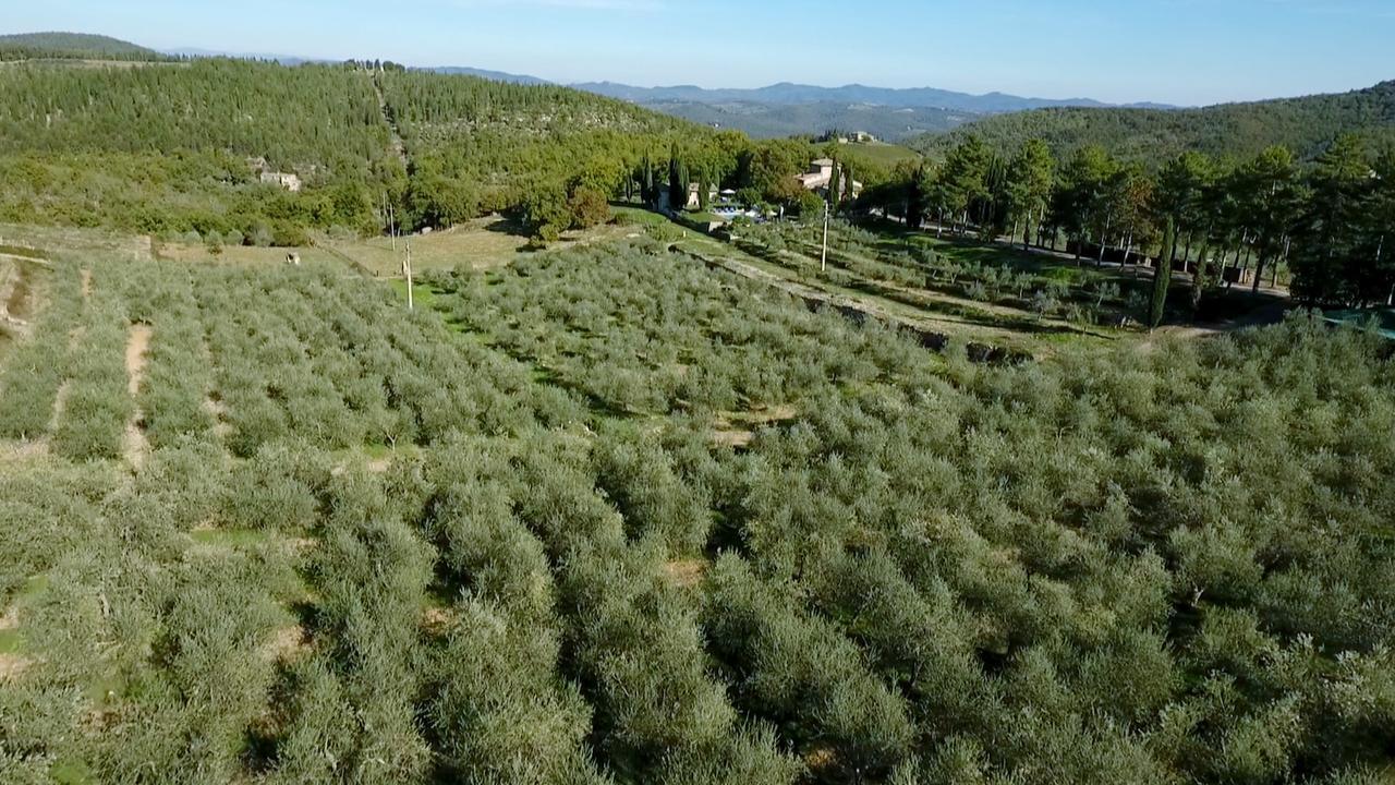 Podere Sagna Castellina in Chianti Ngoại thất bức ảnh
